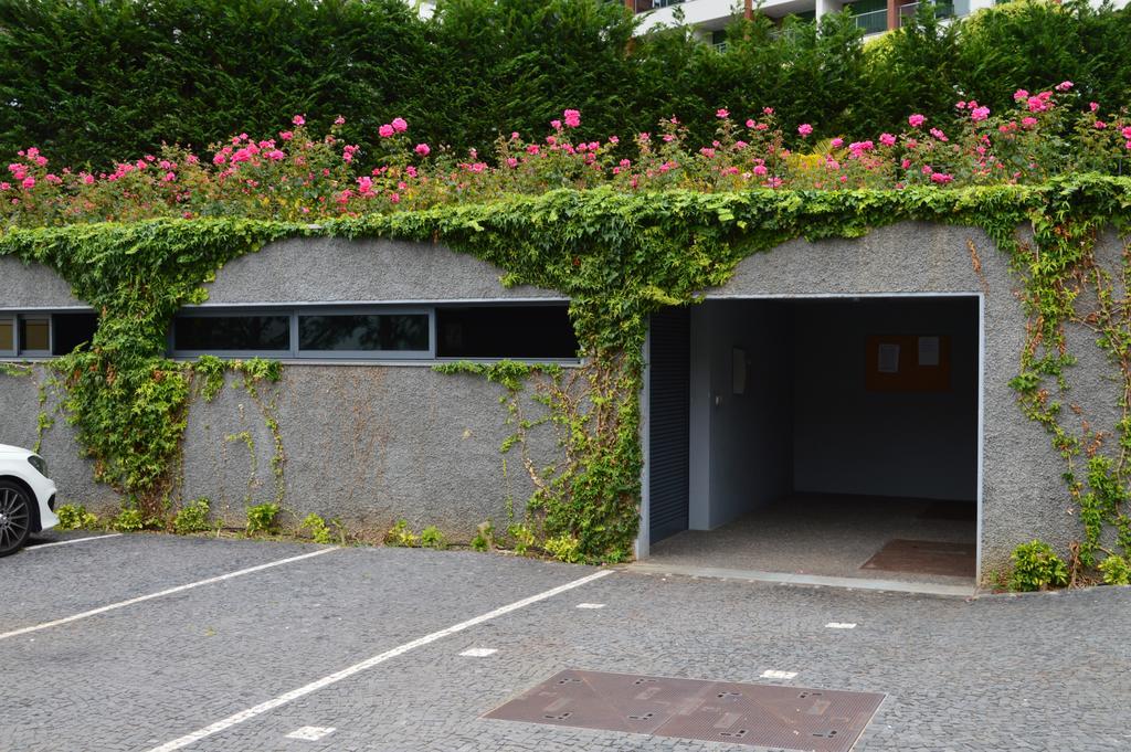 Peaceful Apartment Funchal  Exterior photo